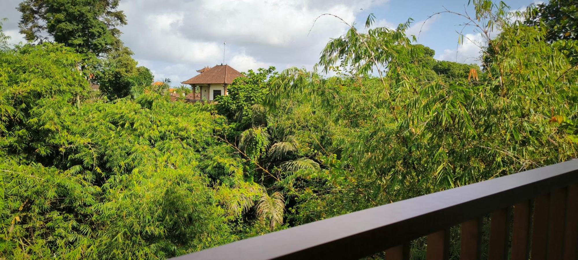 Bhuana Shanti Homestay Ubud  Bagian luar foto